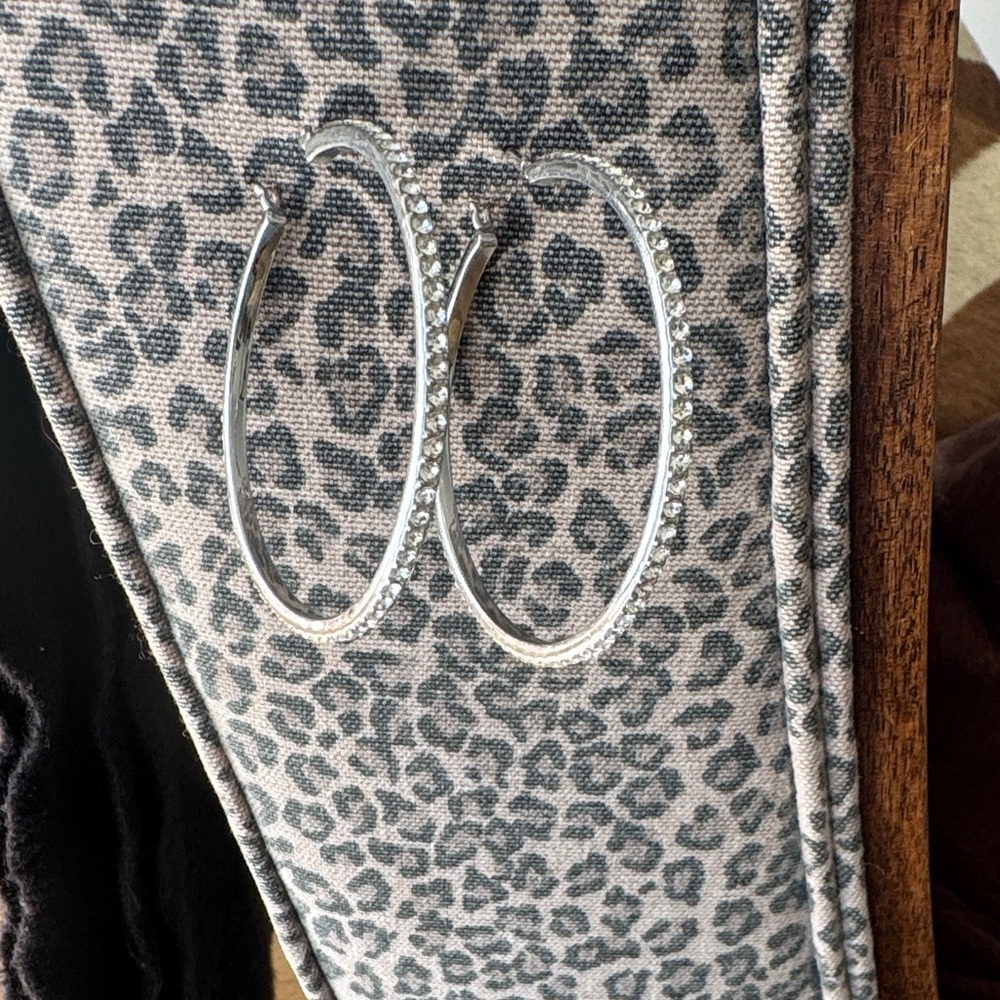 Elegant Silver Hoop Earrings
